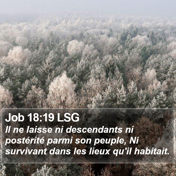 Job 18:19 LSG Bible Study