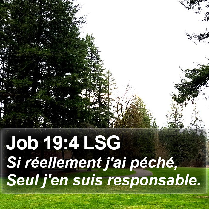 Job 19:4 LSG Bible Study