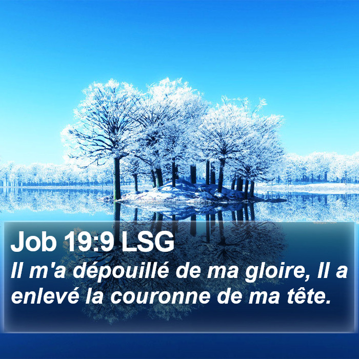 Job 19:9 LSG Bible Study