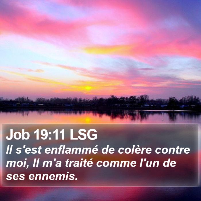 Job 19:11 LSG Bible Study