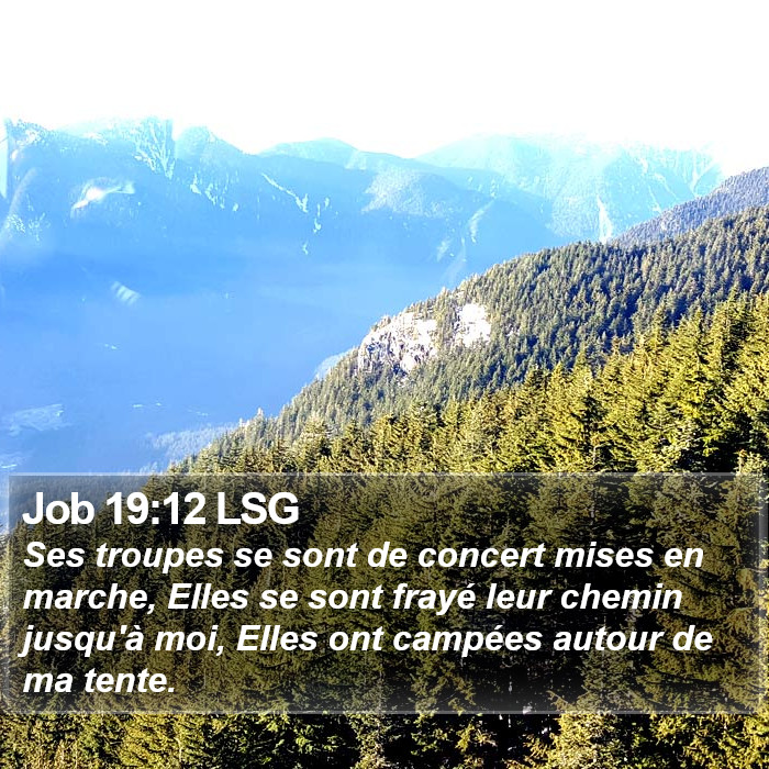 Job 19:12 LSG Bible Study