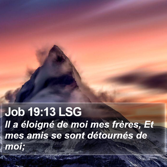 Job 19:13 LSG Bible Study