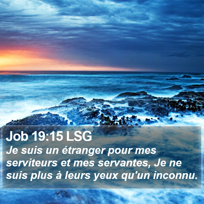 Job 19:15 LSG Bible Study