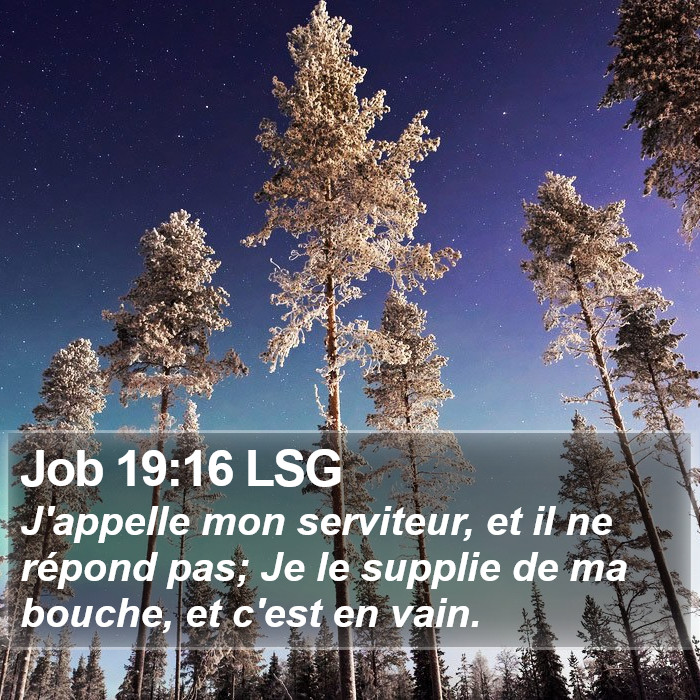 Job 19:16 LSG Bible Study