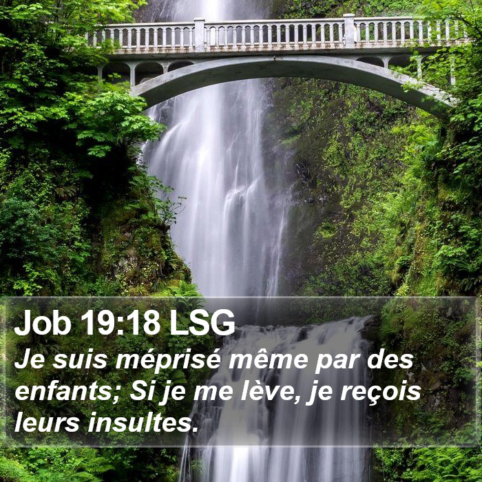 Job 19:18 LSG Bible Study