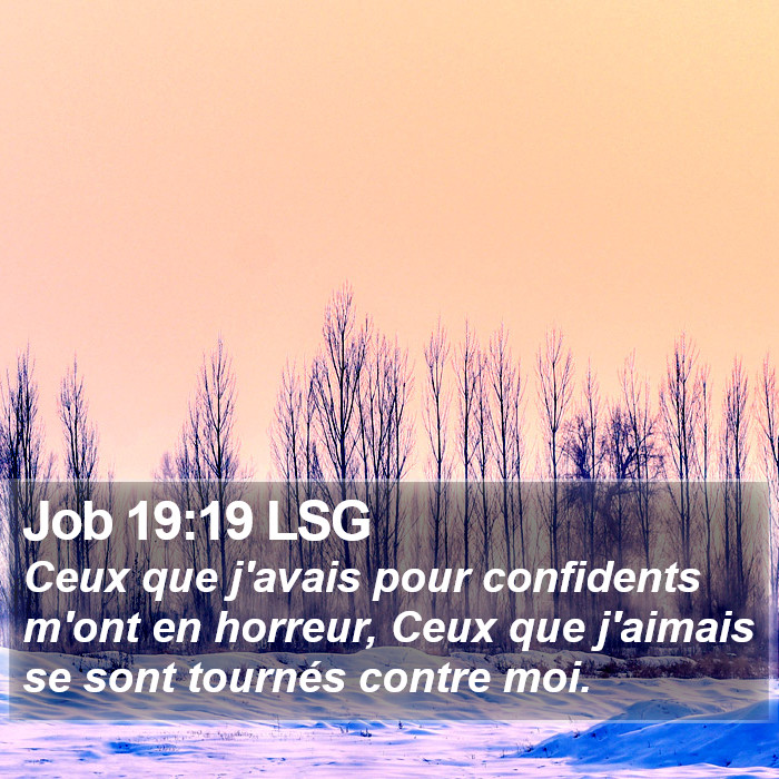 Job 19:19 LSG Bible Study