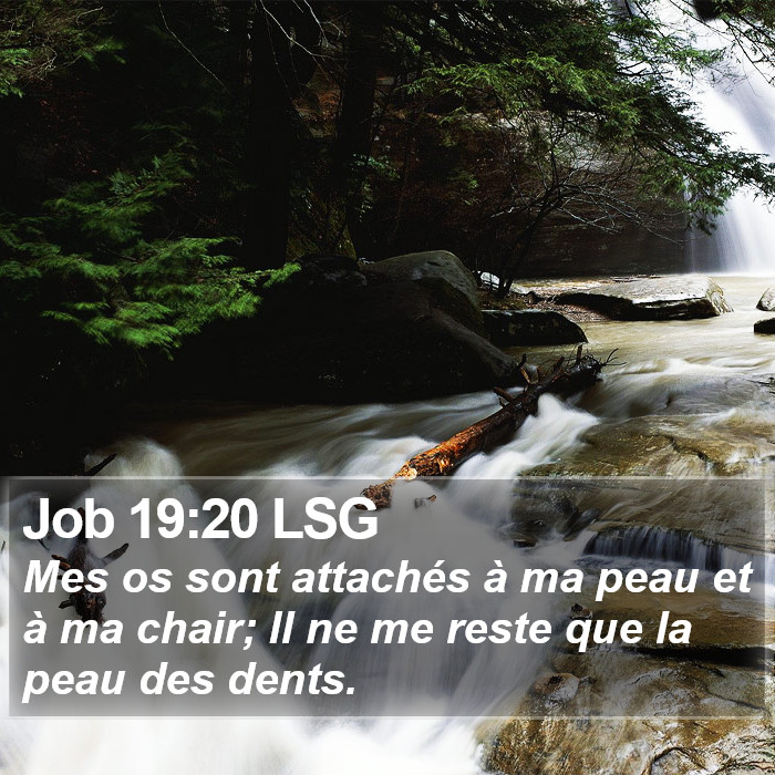 Job 19:20 LSG Bible Study