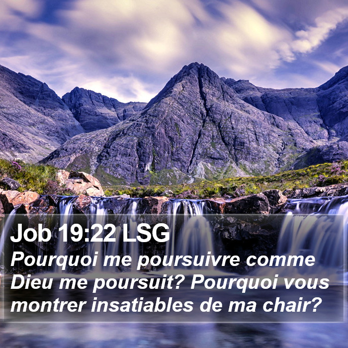 Job 19:22 LSG Bible Study