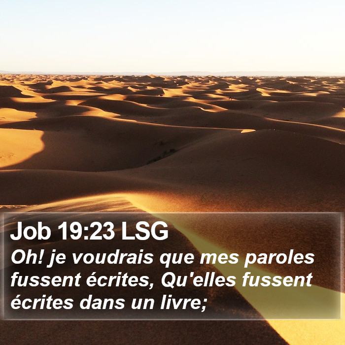 Job 19:23 LSG Bible Study