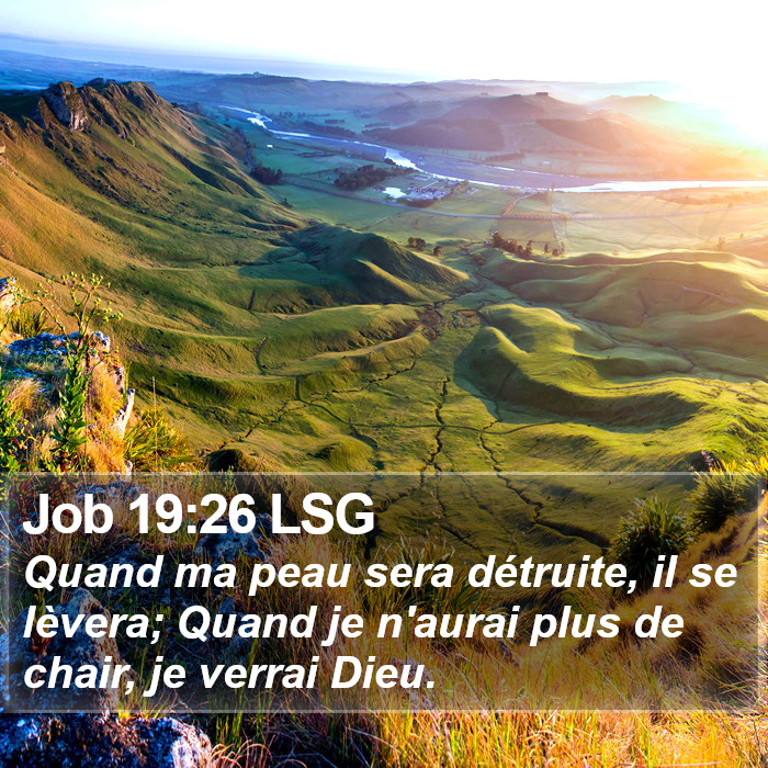 Job 19:26 LSG Bible Study