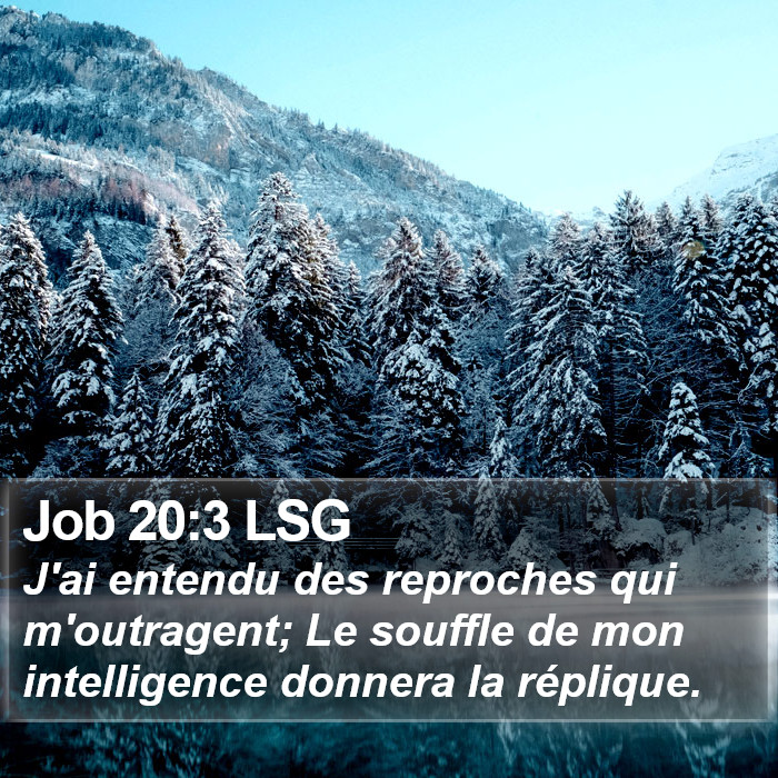 Job 20:3 LSG Bible Study