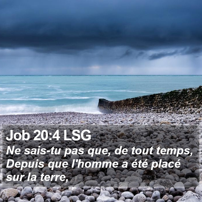 Job 20:4 LSG Bible Study