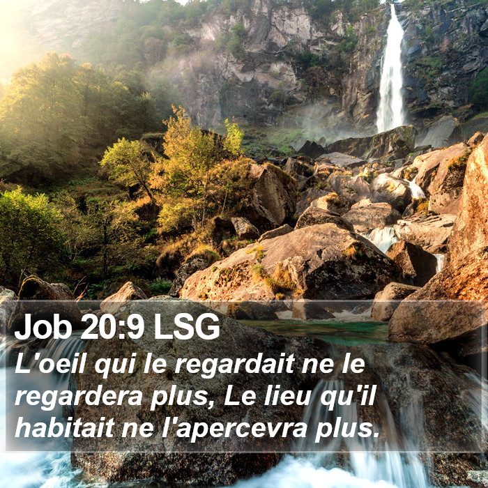 Job 20:9 LSG Bible Study