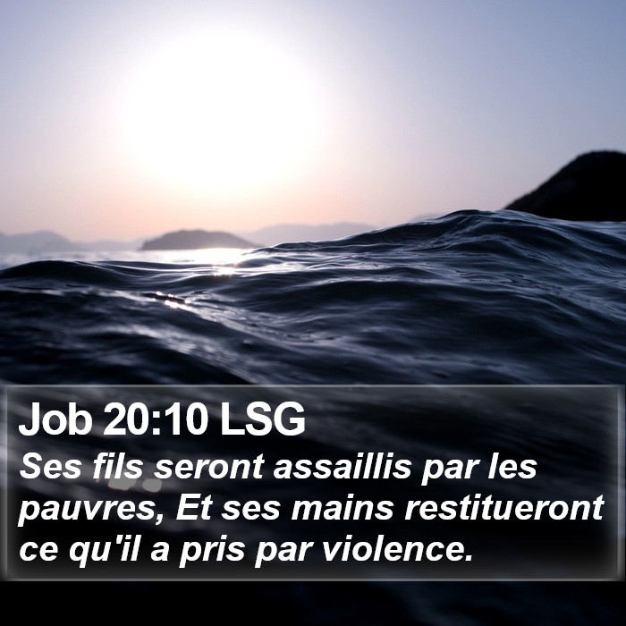 Job 20:10 LSG Bible Study