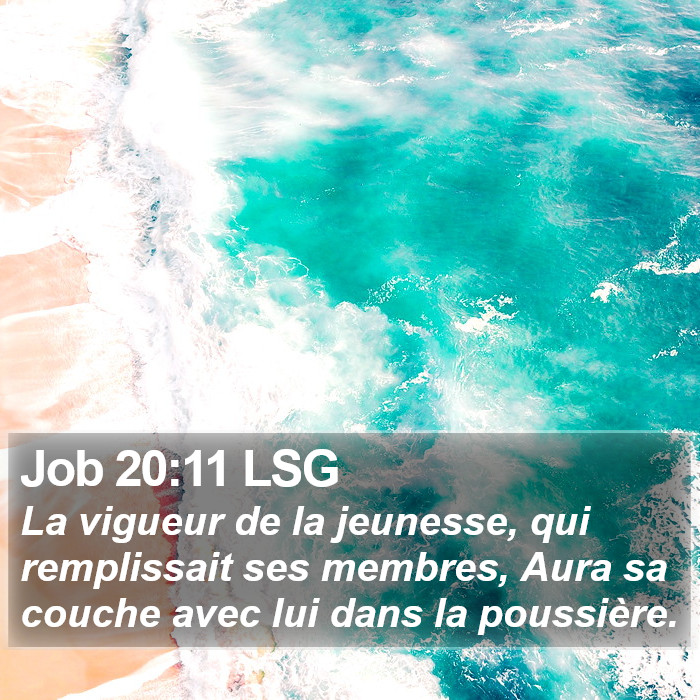 Job 20:11 LSG Bible Study