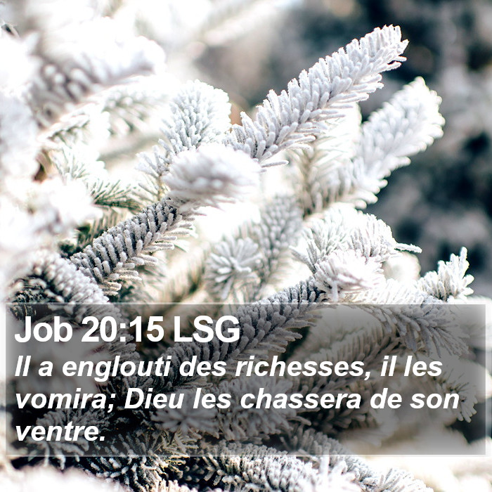 Job 20:15 LSG Bible Study