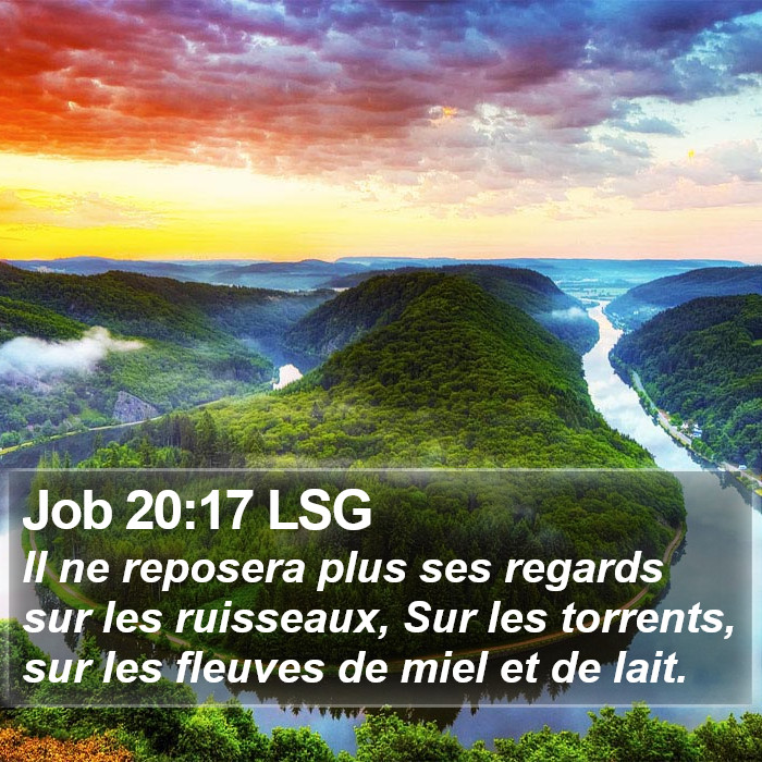 Job 20:17 LSG Bible Study