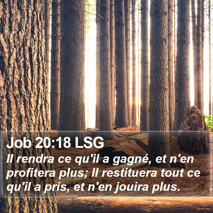 Job 20:18 LSG Bible Study