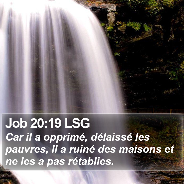 Job 20:19 LSG Bible Study