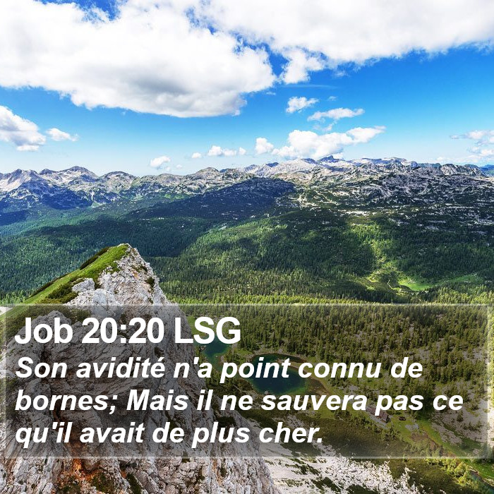 Job 20:20 LSG Bible Study