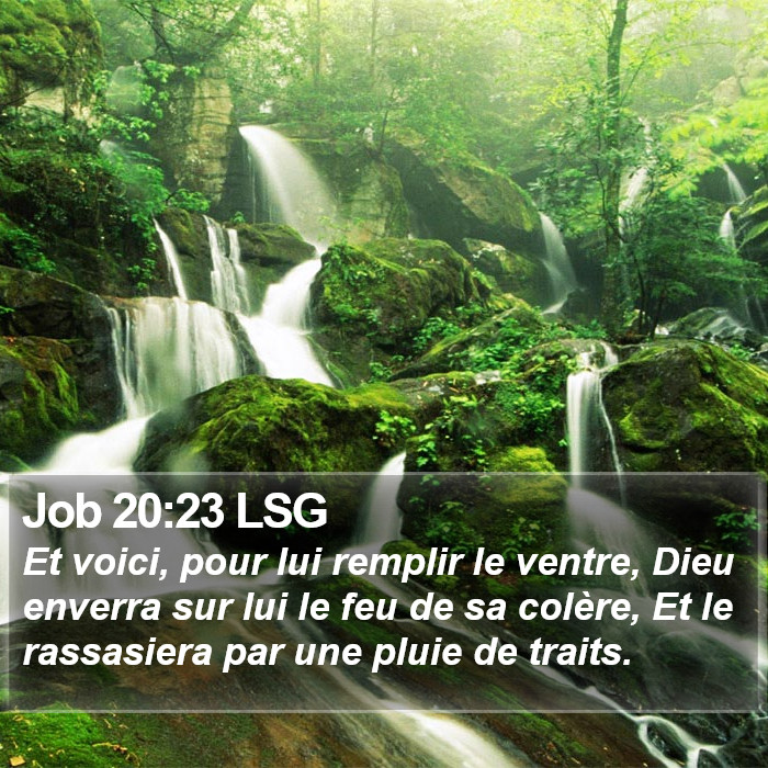 Job 20:23 LSG Bible Study