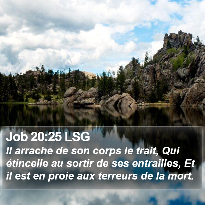 Job 20:25 LSG Bible Study