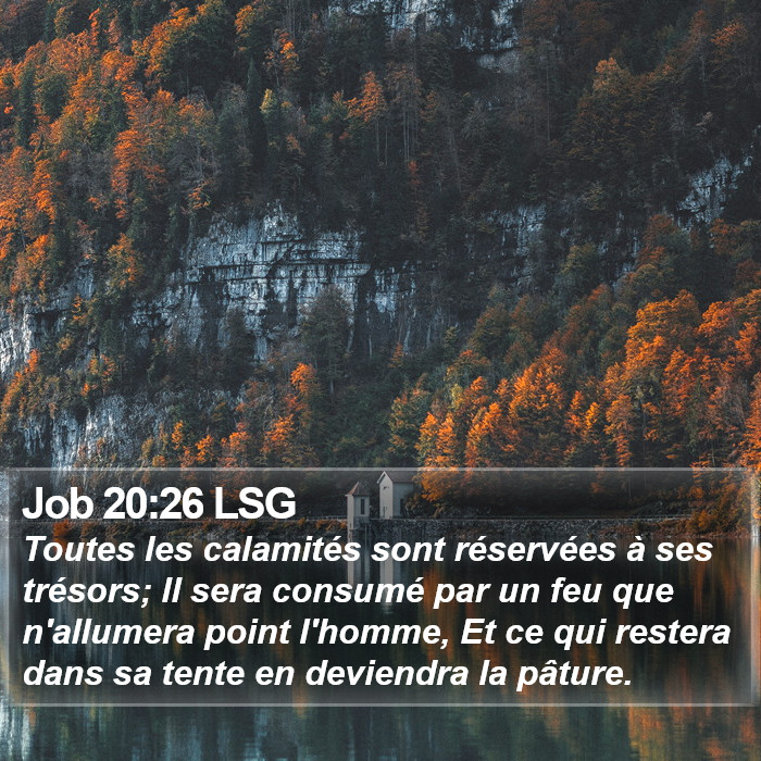 Job 20:26 LSG Bible Study