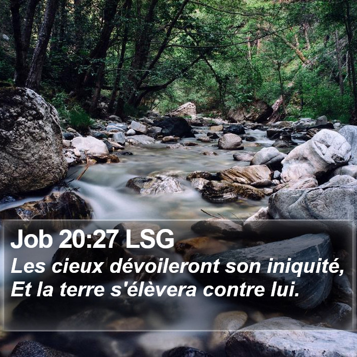 Job 20:27 LSG Bible Study