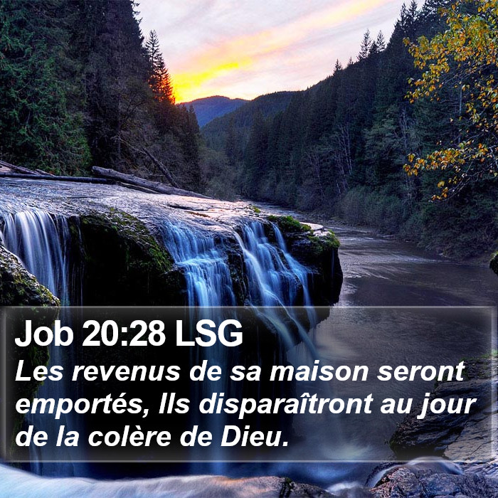 Job 20:28 LSG Bible Study