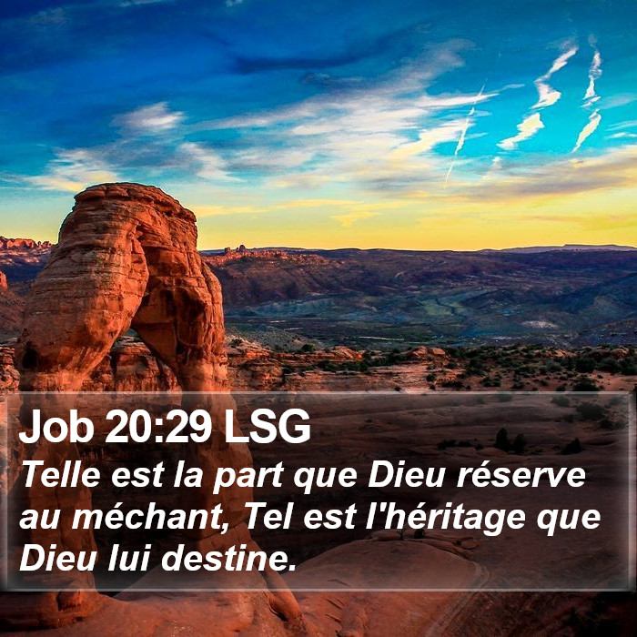 Job 20:29 LSG Bible Study