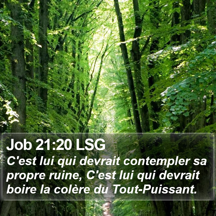 Job 21:20 LSG Bible Study