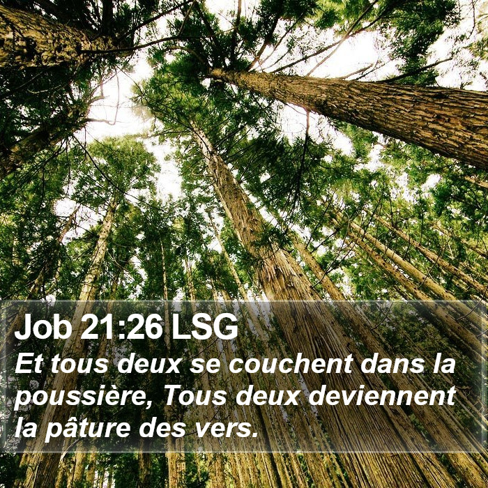 Job 21:26 LSG Bible Study