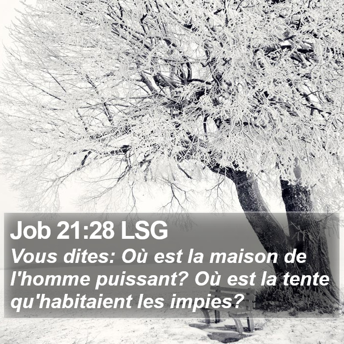 Job 21:28 LSG Bible Study