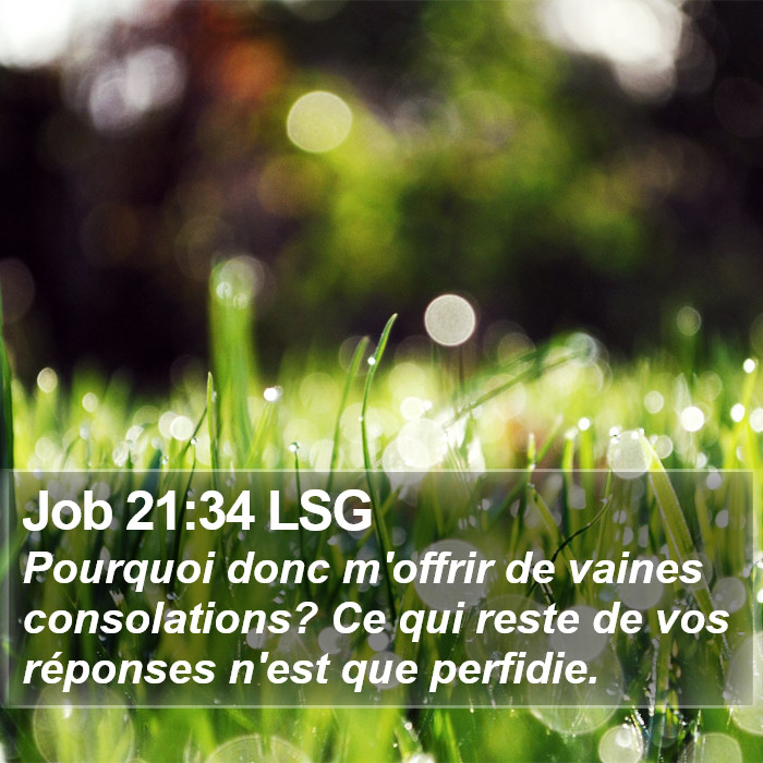 Job 21:34 LSG Bible Study