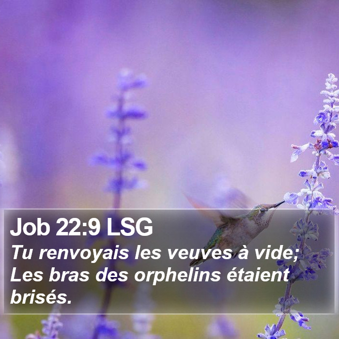 Job 22:9 LSG Bible Study