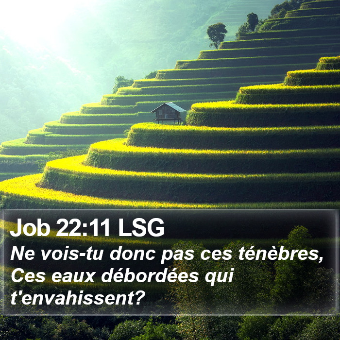 Job 22:11 LSG Bible Study