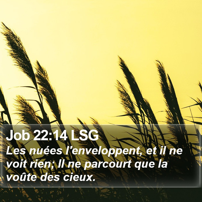 Job 22:14 LSG Bible Study