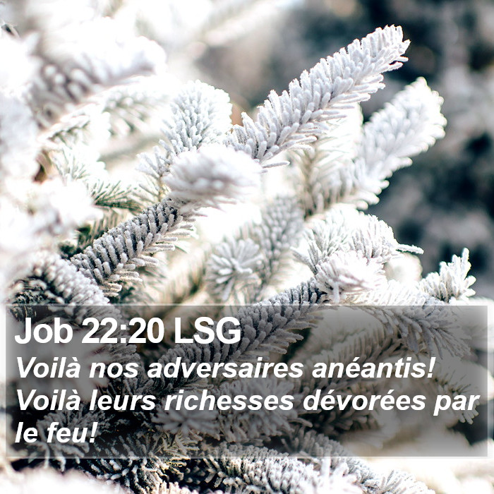 Job 22:20 LSG Bible Study