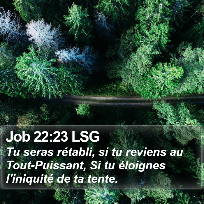 Job 22:23 LSG Bible Study