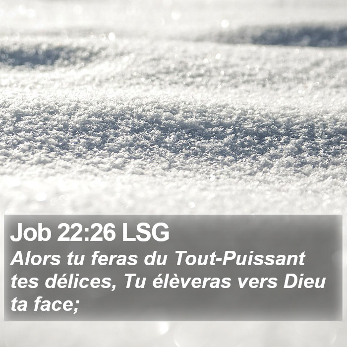 Job 22:26 LSG Bible Study