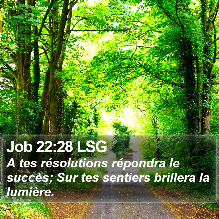 Job 22:28 LSG Bible Study