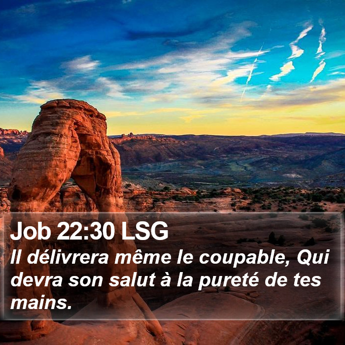 Job 22:30 LSG Bible Study