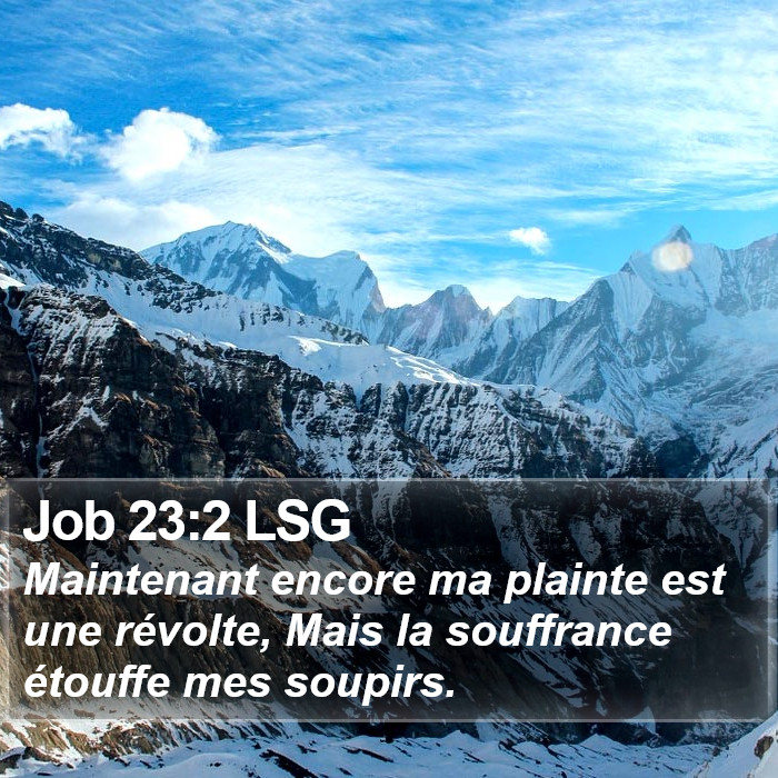 Job 23:2 LSG Bible Study