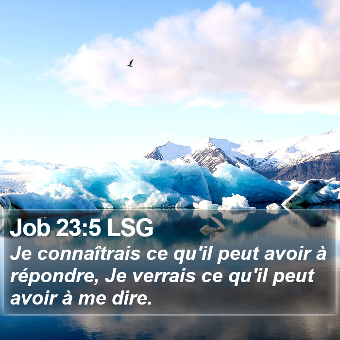 Job 23:5 LSG Bible Study