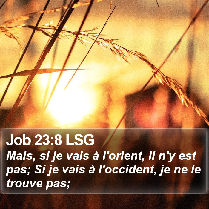 Job 23:8 LSG Bible Study