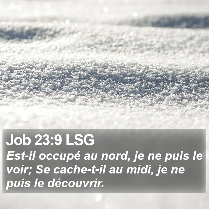 Job 23:9 LSG Bible Study