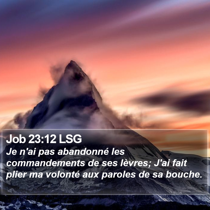 Job 23:12 LSG Bible Study