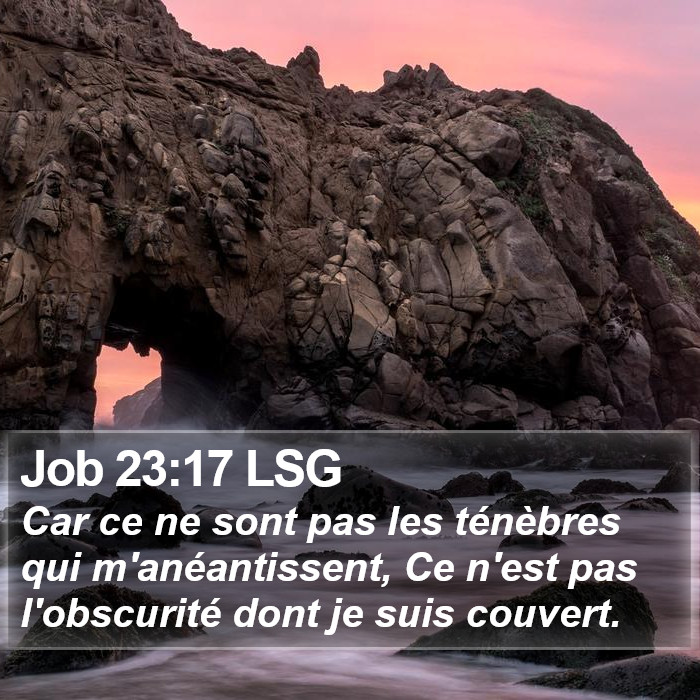 Job 23:17 LSG Bible Study