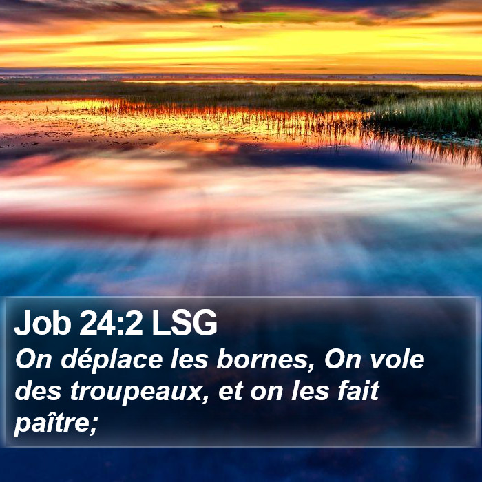 Job 24:2 LSG Bible Study