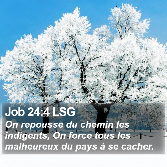 Job 24:4 LSG Bible Study